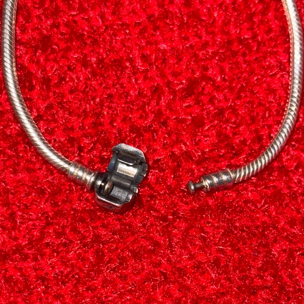 Pandora - Picture 5 of 5